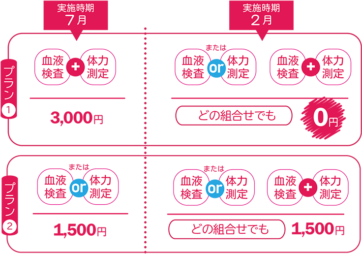 おすすめプラン
