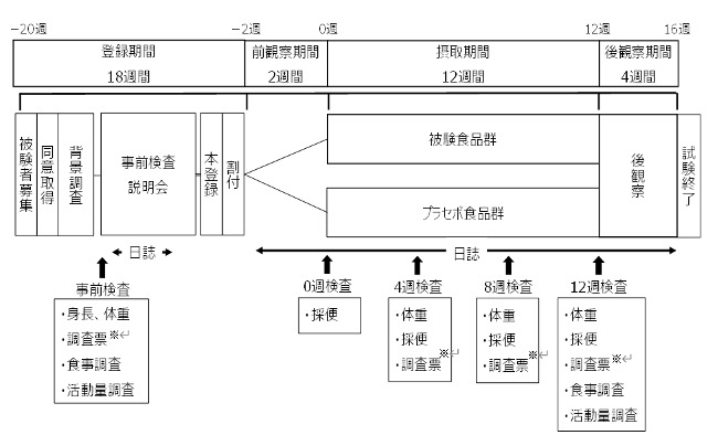 図　試験スケジュール概要